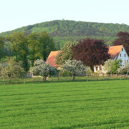Ferienwohnung An Der Obstwiese Borgholzhausen Eksteriør billede